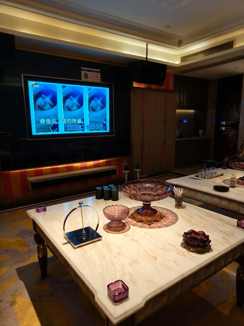 宣城商务ktv是什么意思-宁国市ktv预定